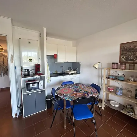 Terrasses D'helios Joli 2 Pieces Climatise Proche Richelieu Et Commerces Cap D'agde Apartament Agde